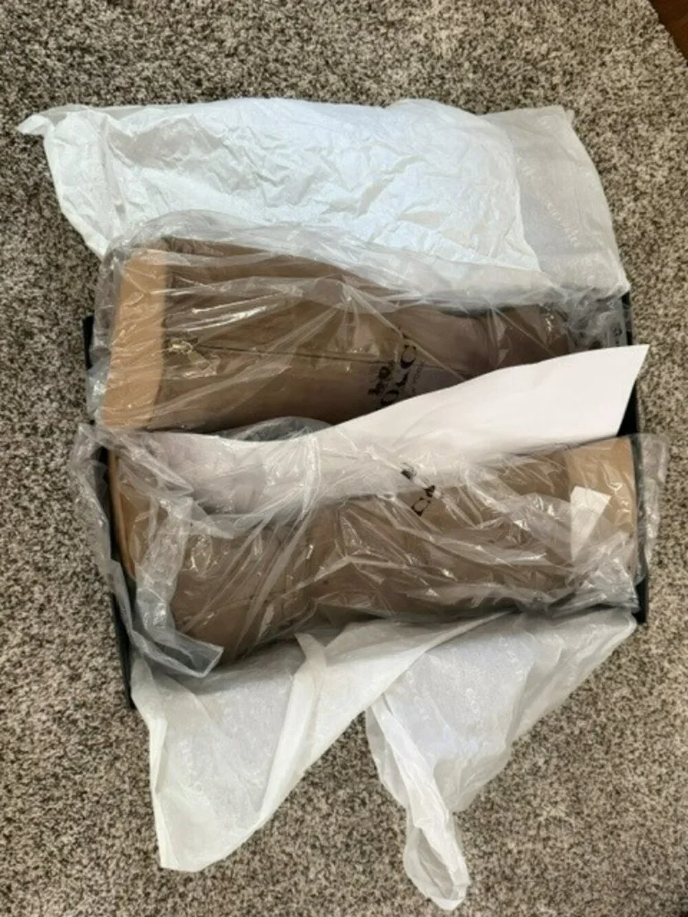 Coach Raquel Sue Suede Knee-High Boots, Cedar, Size 8B